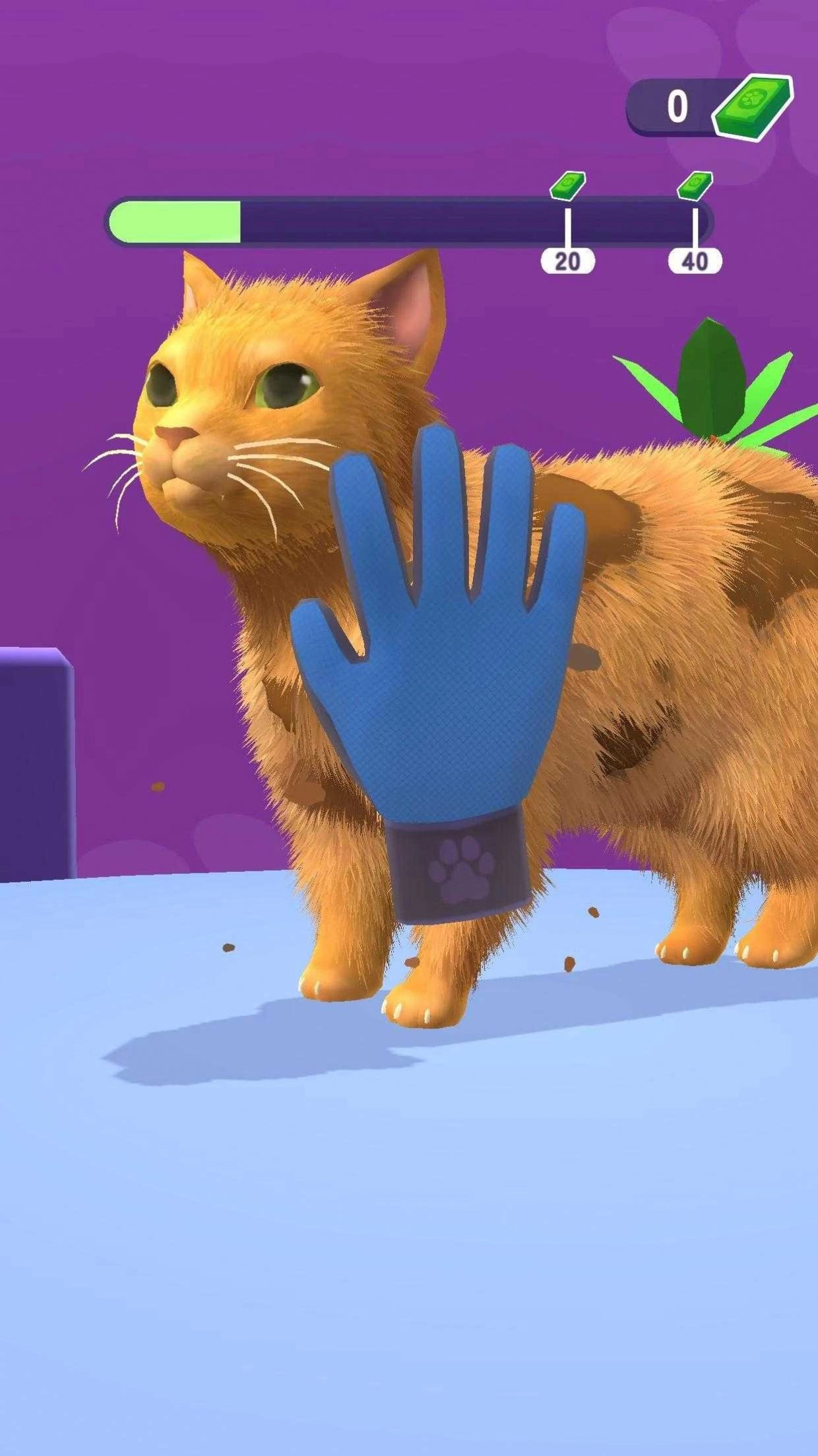 宠物美容理发店(Pet Groomer Animal Barbershop)4