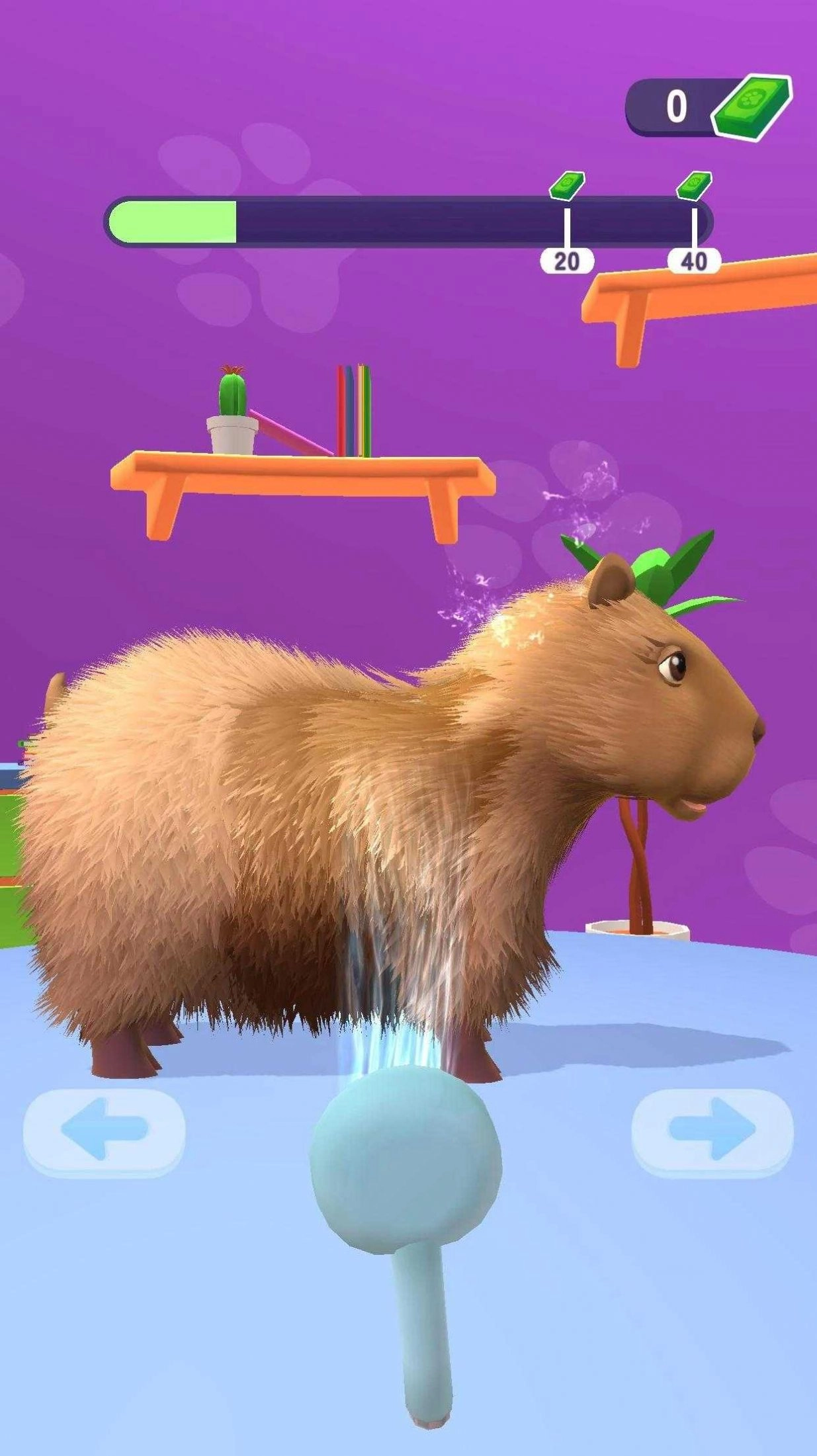 宠物美容理发店(Pet Groomer Animal Barbershop)3