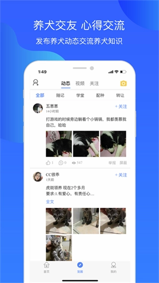 犬卫士安卓版图4