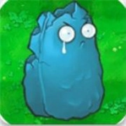 pvz寒冰版