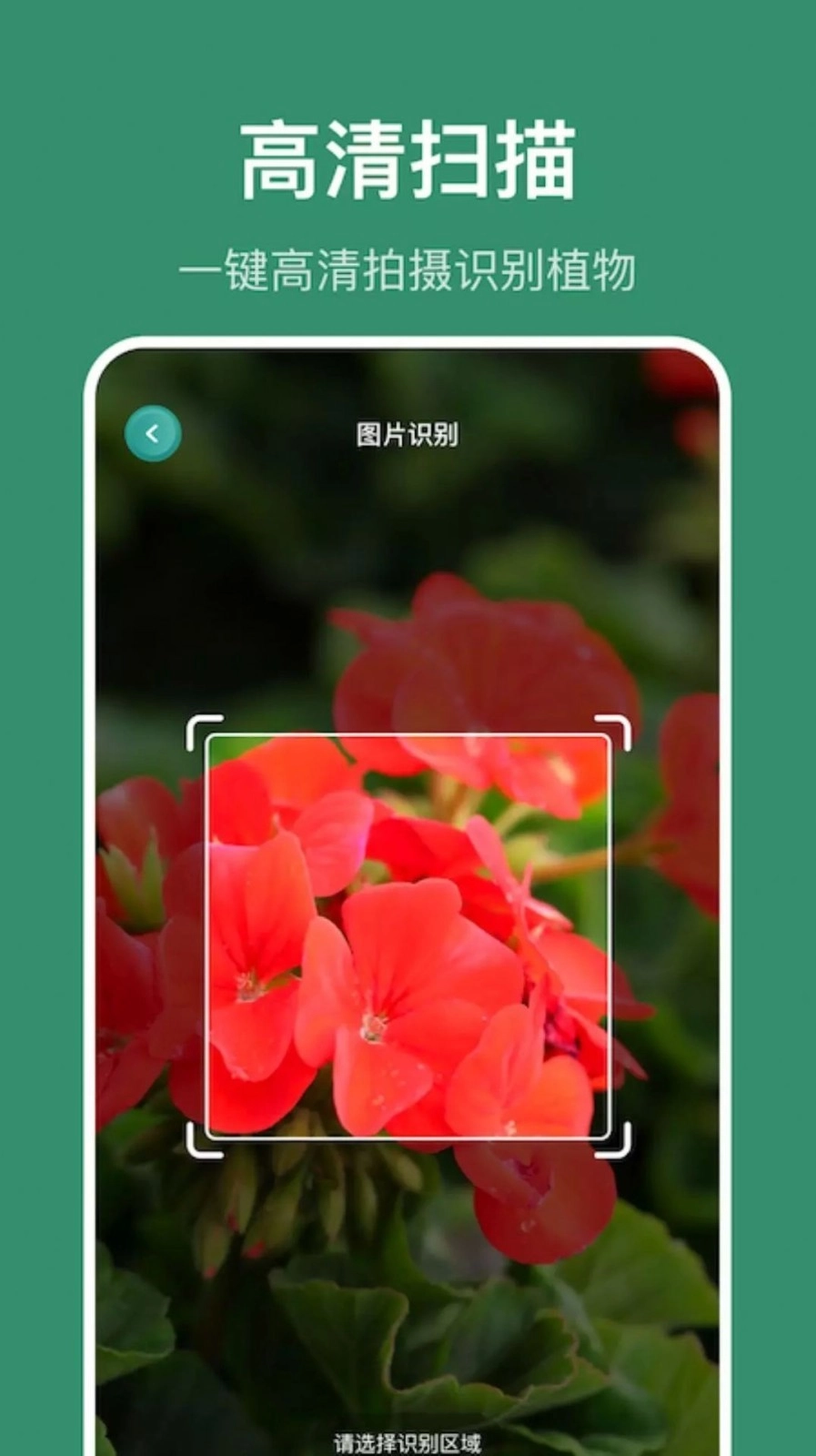 小黄养花免费版图2