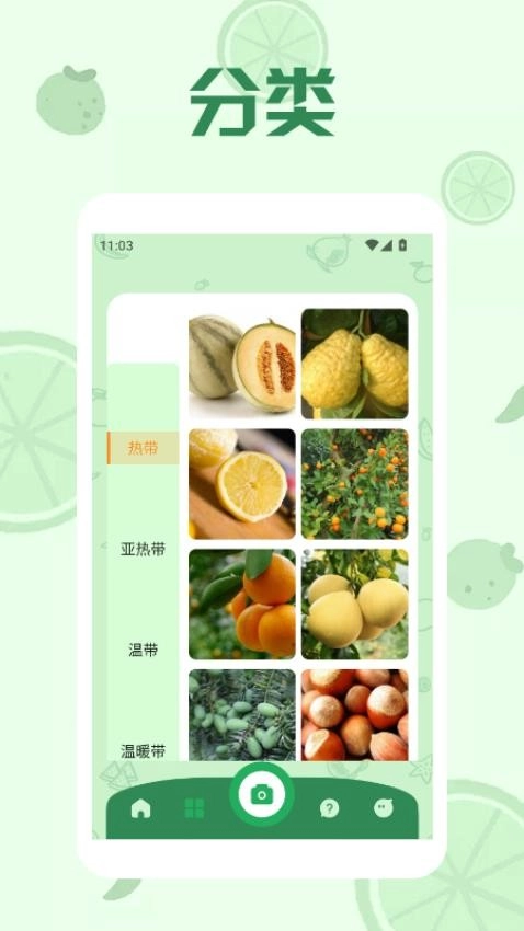 果实传说极速版图2