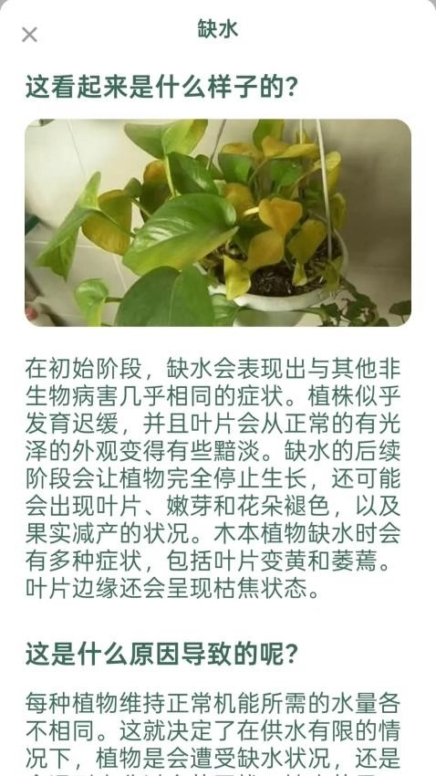 爱馨花园