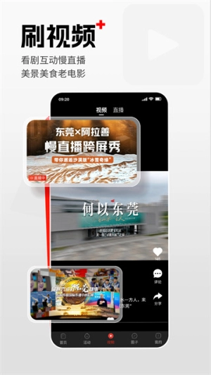 东莞+(2)