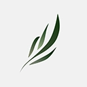 东南小说无广告版