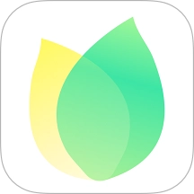 飞火动态壁纸正版