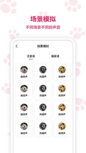 动物翻译器免费版图4