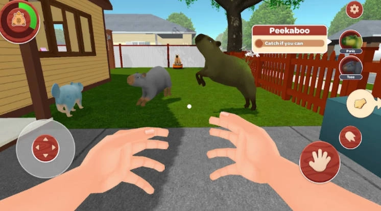 我的卡皮巴拉免广告版