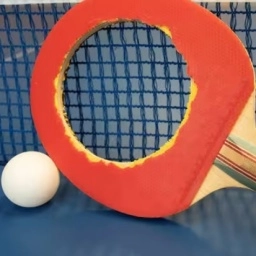 乒乓球最强王者