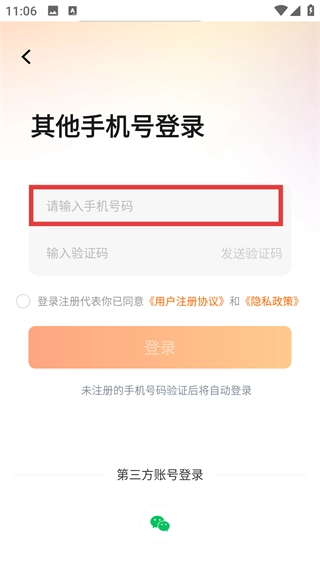 百安居中文版下载