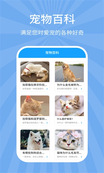 狗猫翻译器免费版图2