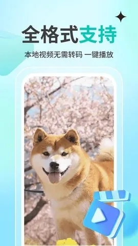 私人观影播放器player最新手机版图3