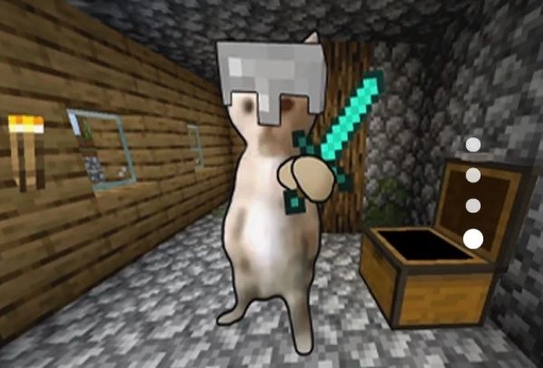 小猫冒险求生(3)