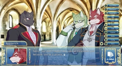 骑士学院中文版