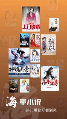洋葱小说免费阅读 图1