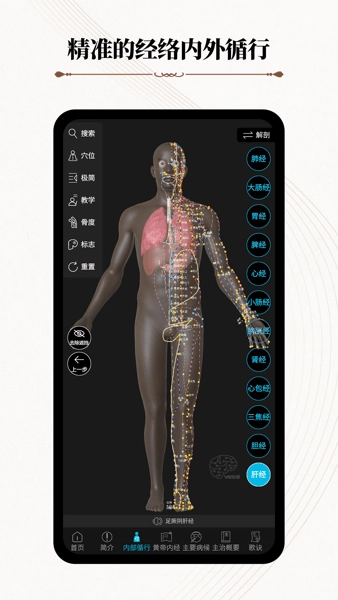 中医经络腧穴软件(针灸大师)(2)