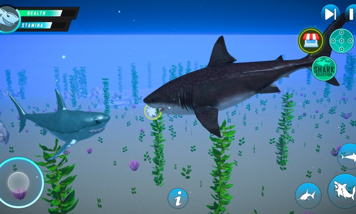 鲨鱼水下生存模拟