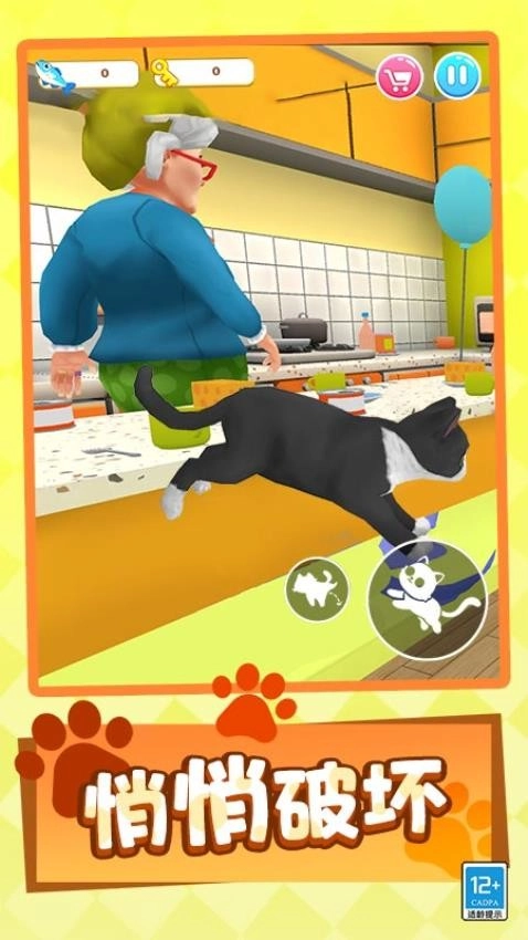 猫咪闹翻天游戏(4)