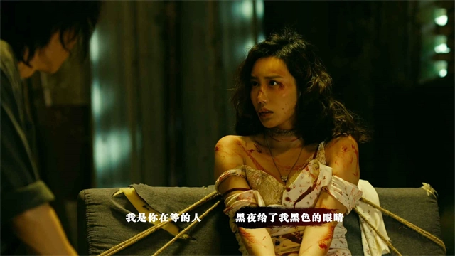 扫毒风暴宛北往事
