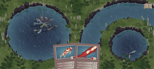 锦鲤农场(Koi Farm)(4)