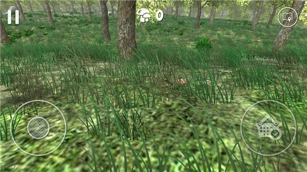 真实采集蘑菇模拟器图3