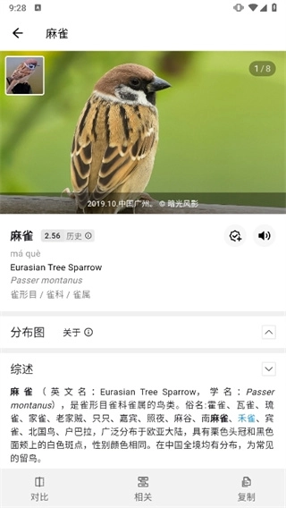 懂鸟识别图2