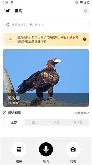 懂鸟识别图1