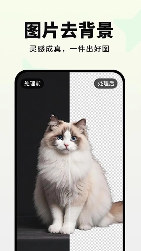 画易