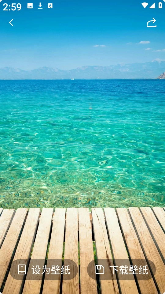 星狐壁纸安卓版