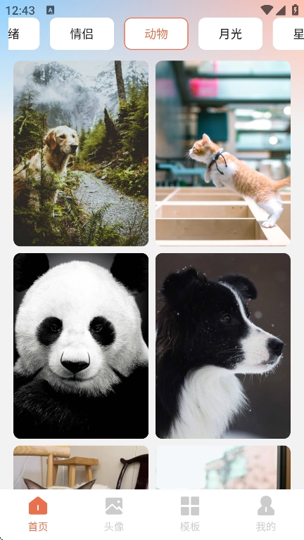 星狐壁纸安卓版