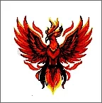 火焰鸟直装科技  手机版