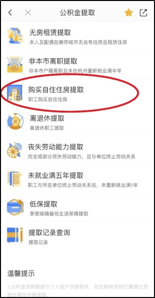 杭州城市大脑中文版下载