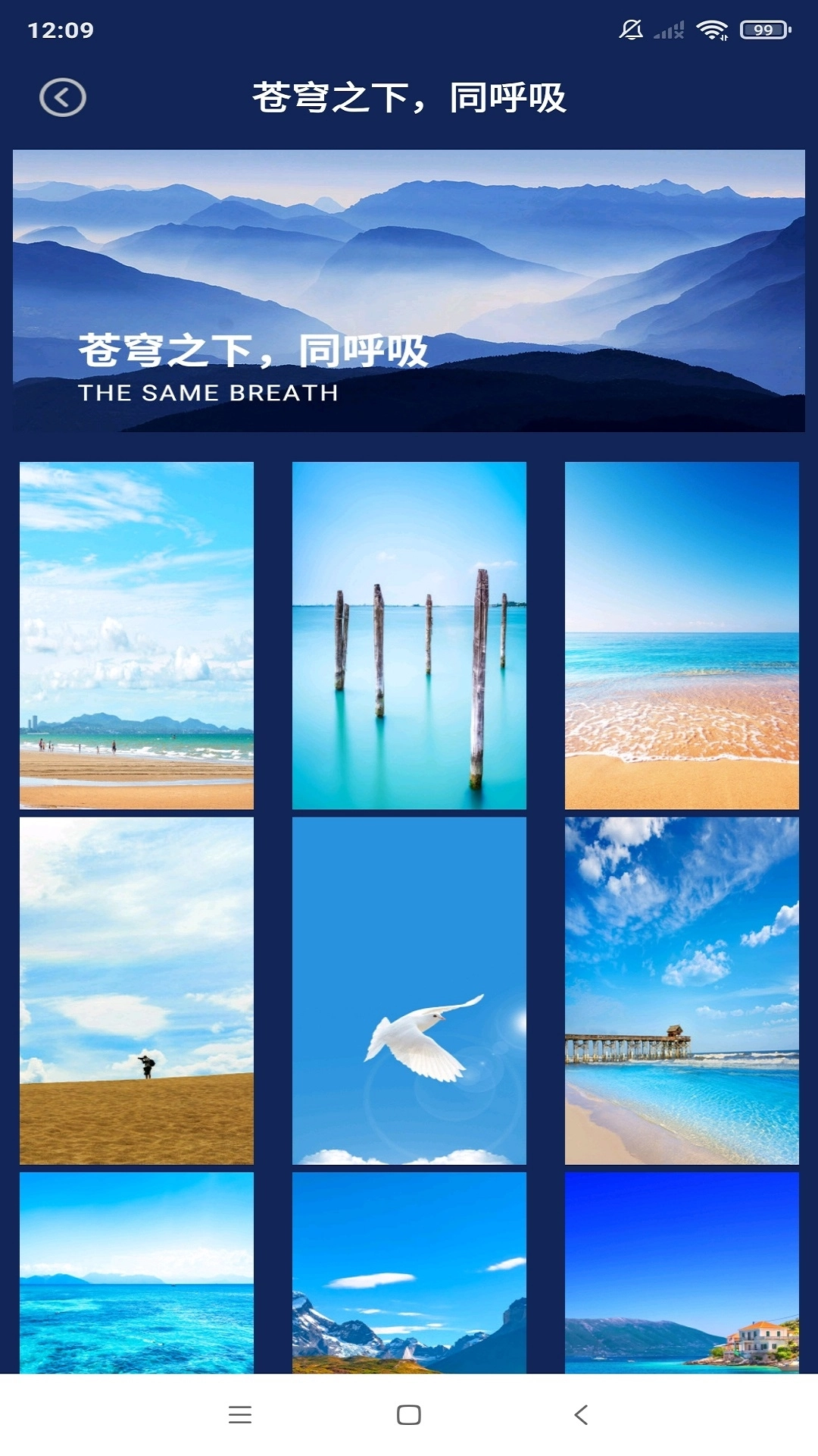 动态壁纸秀场手机版