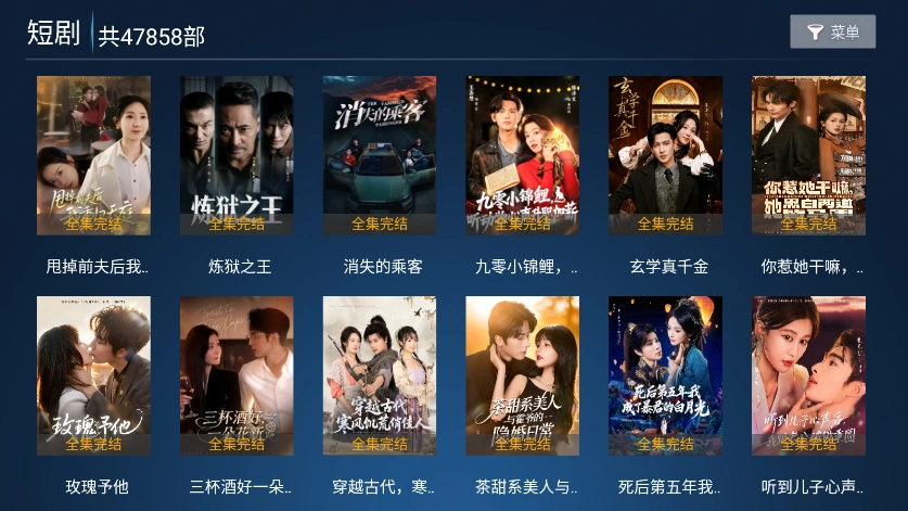 大帅影视TV最新版