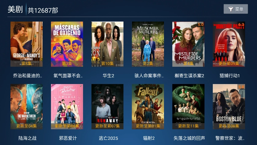 大帅影视TV最新版