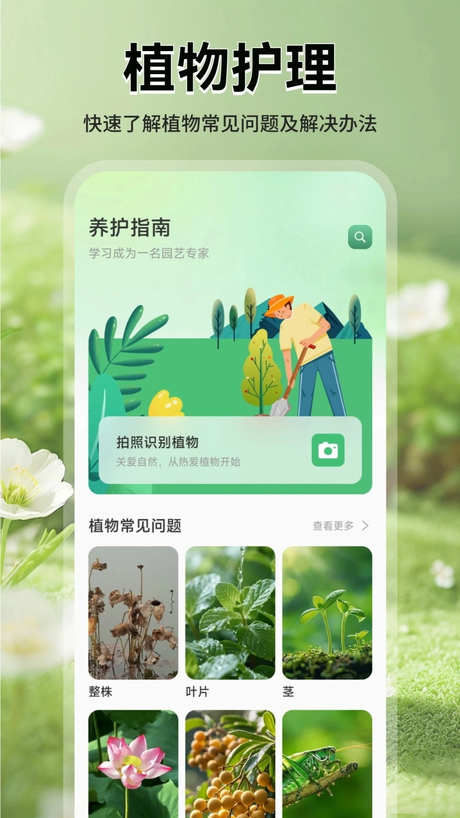 花团锦绣拾光图2