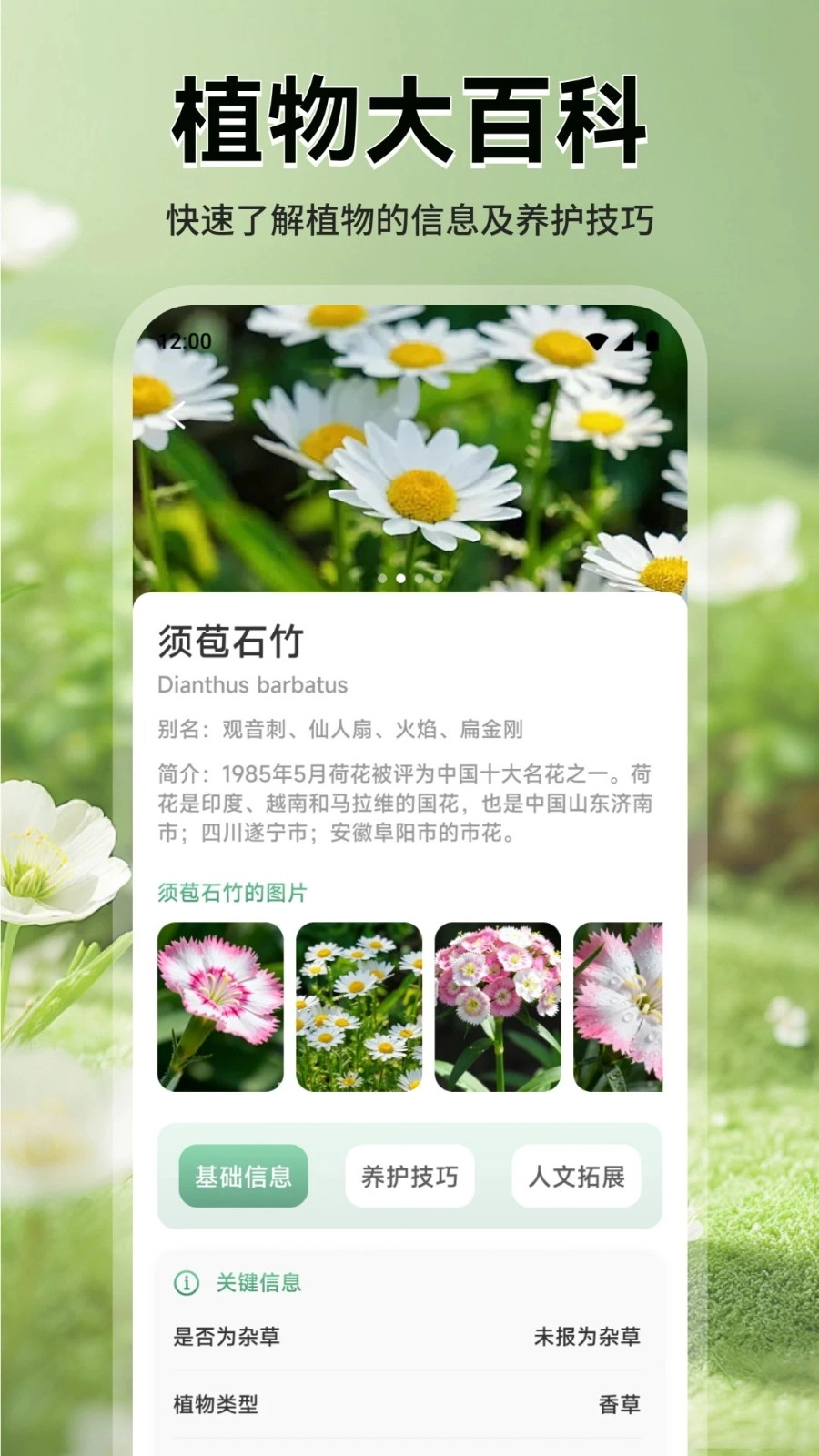 花团锦绣拾光图4
