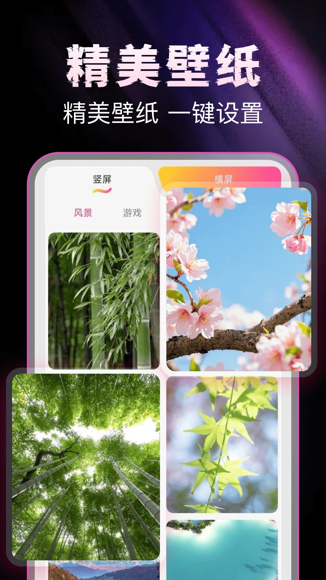 抖播放器万能图1