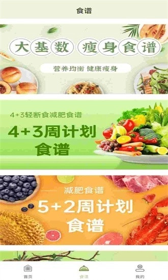 BMI体脂率计算器正式版