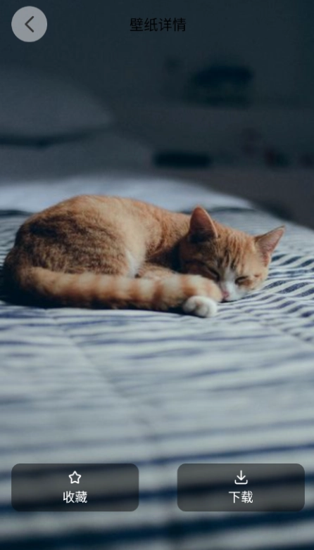 萌貓派對(duì)壁紙手機(jī)版截圖3