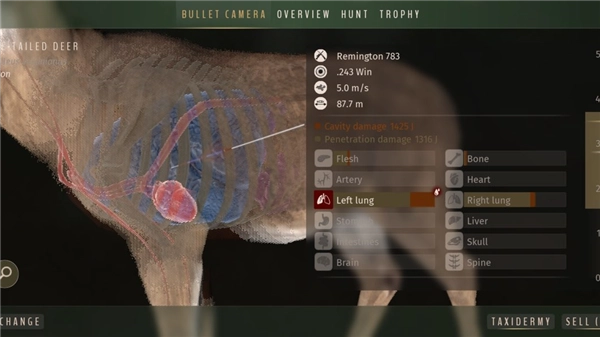 猎人之路狂野欧洲 WOTH Europe图1