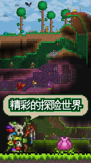 泰拉瑞拉tlpro(3)