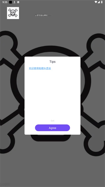 骷髅头原版图3