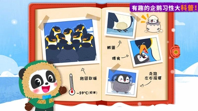 奇妙企鹅部落游戏官方版图3