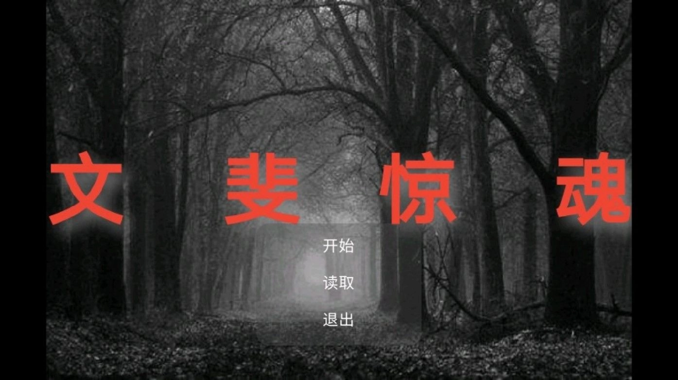 文斐惊魂游戏安装图1
