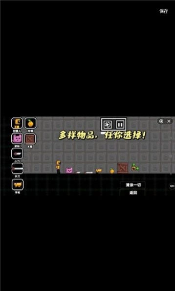 柑橘游乐场游戏安装(2)