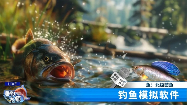 垂钓大师(3)