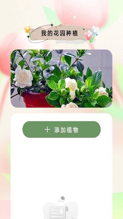 万物识图大师图3