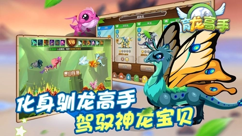 育龙高手图1