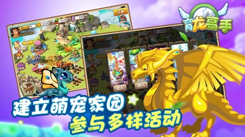 育龙高手图3